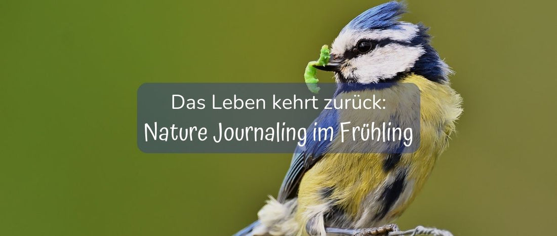 Nature-Journaling-im-Fruehling