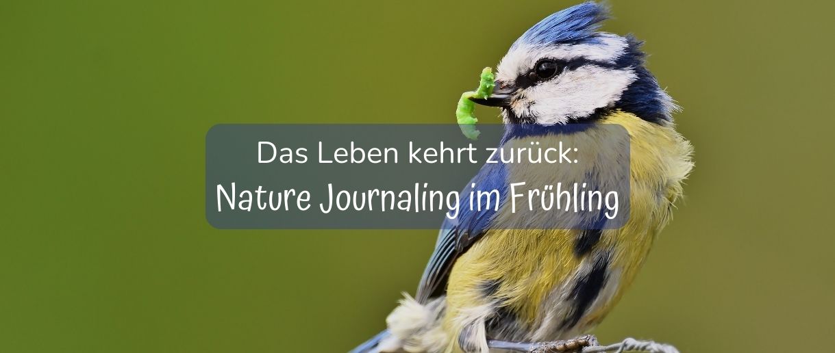 Nature-Journaling-im-Fruehling
