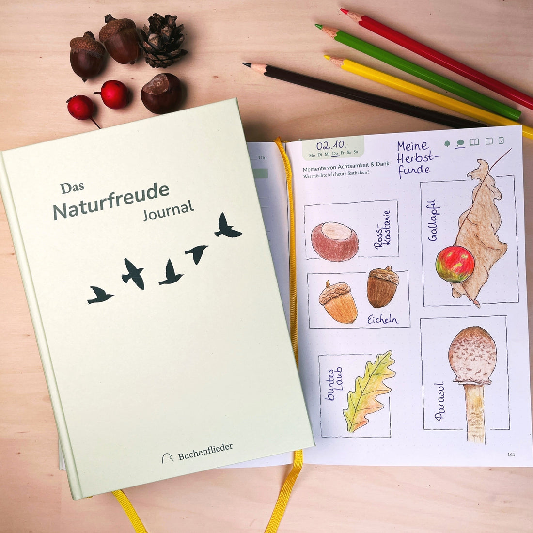 Was ist Nature Journaling?