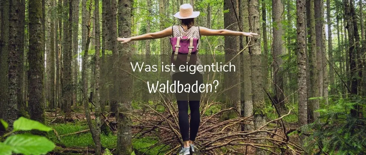 Was ist Waldbaden? 6 Übungen für dich!