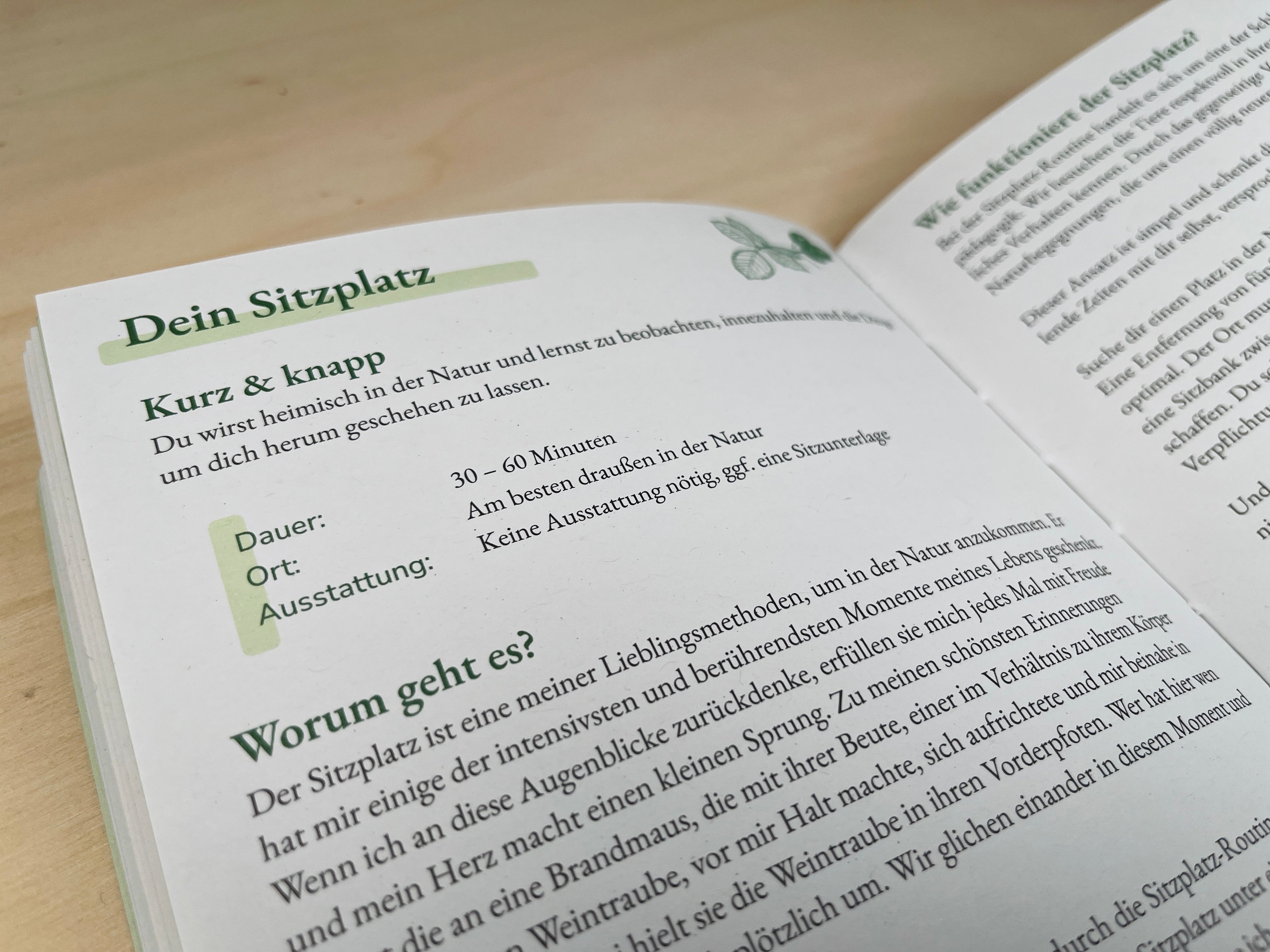 Dein-Sitzplatz-im-Naturfreude-Journal