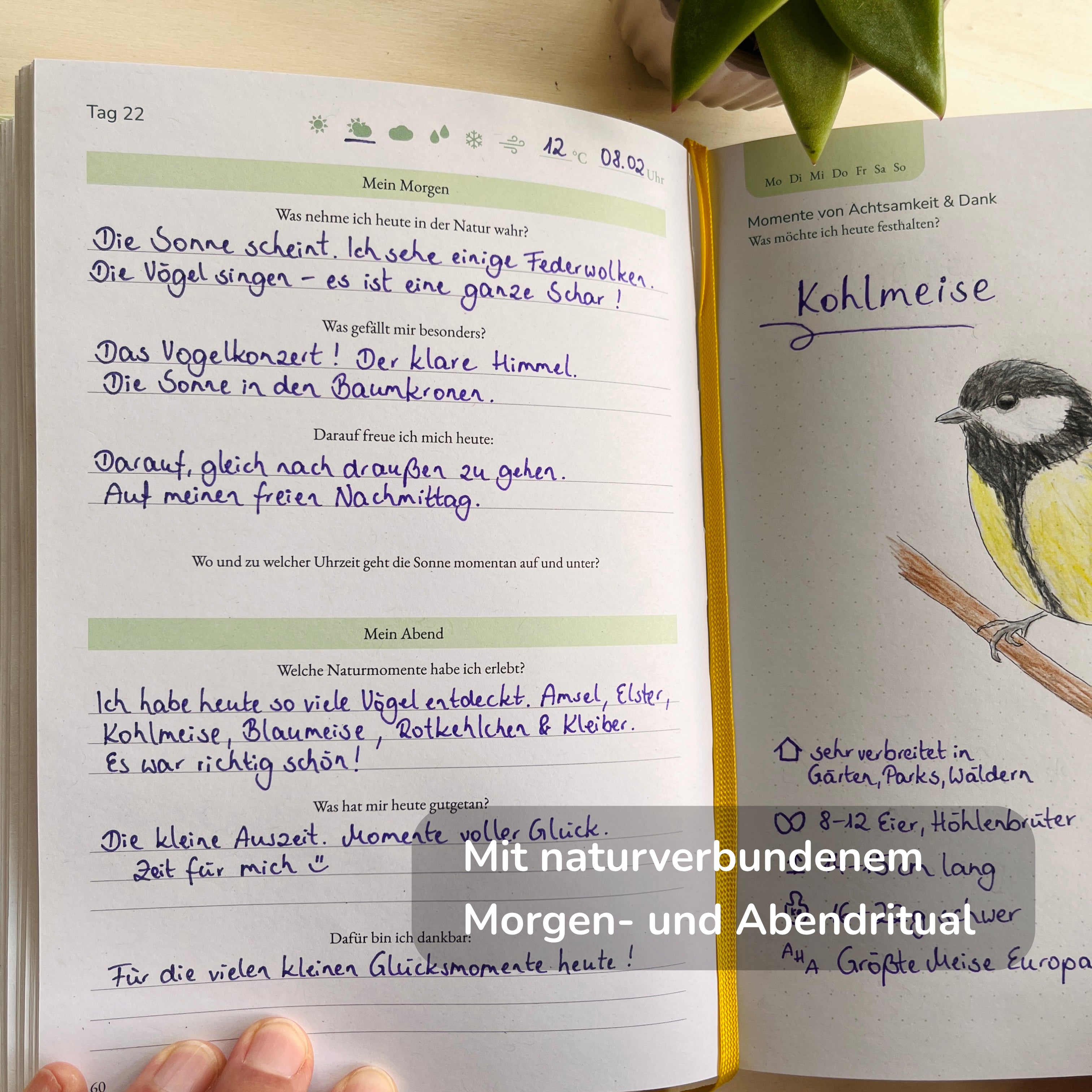 Das Naturfreude Journal