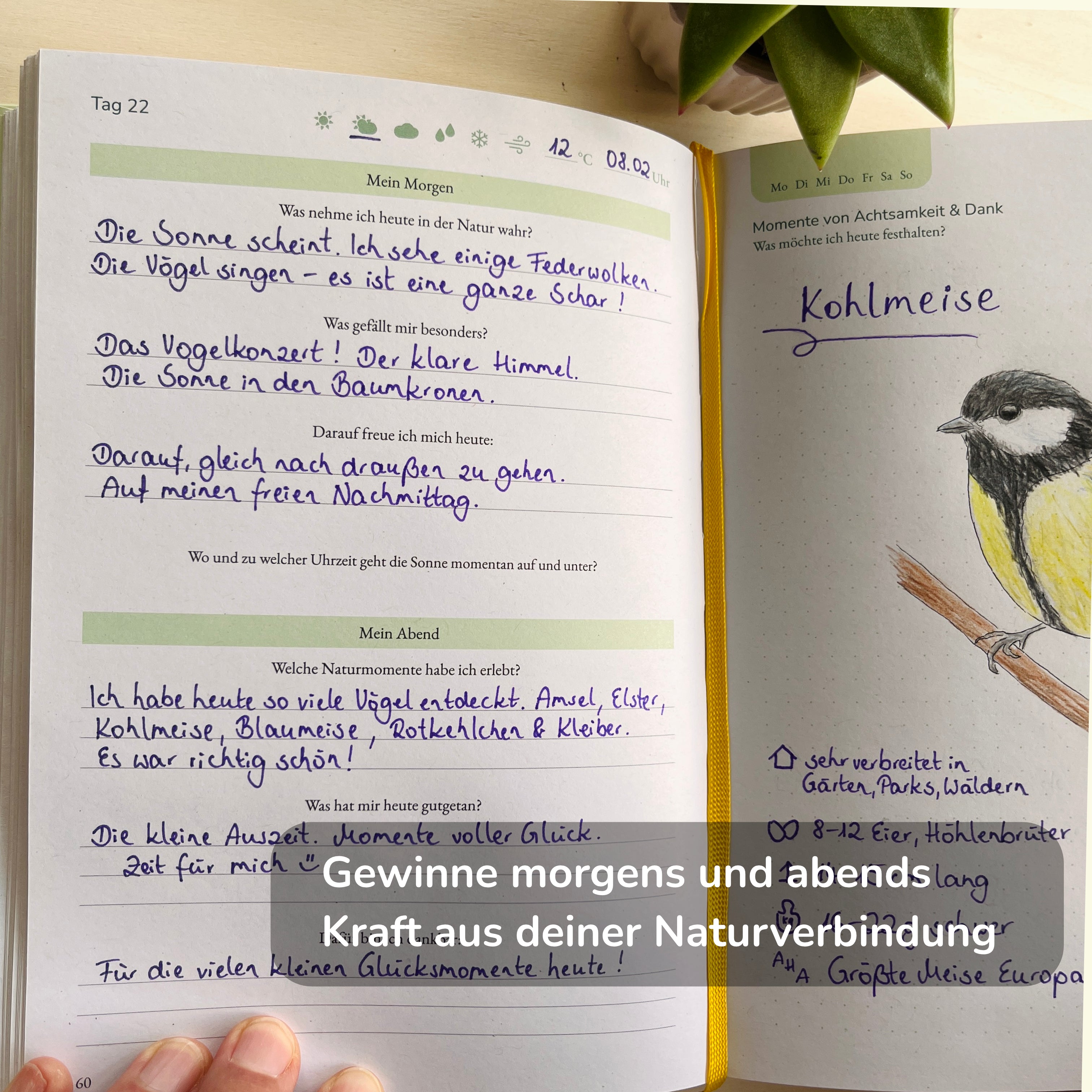 Das Naturfreude Journal