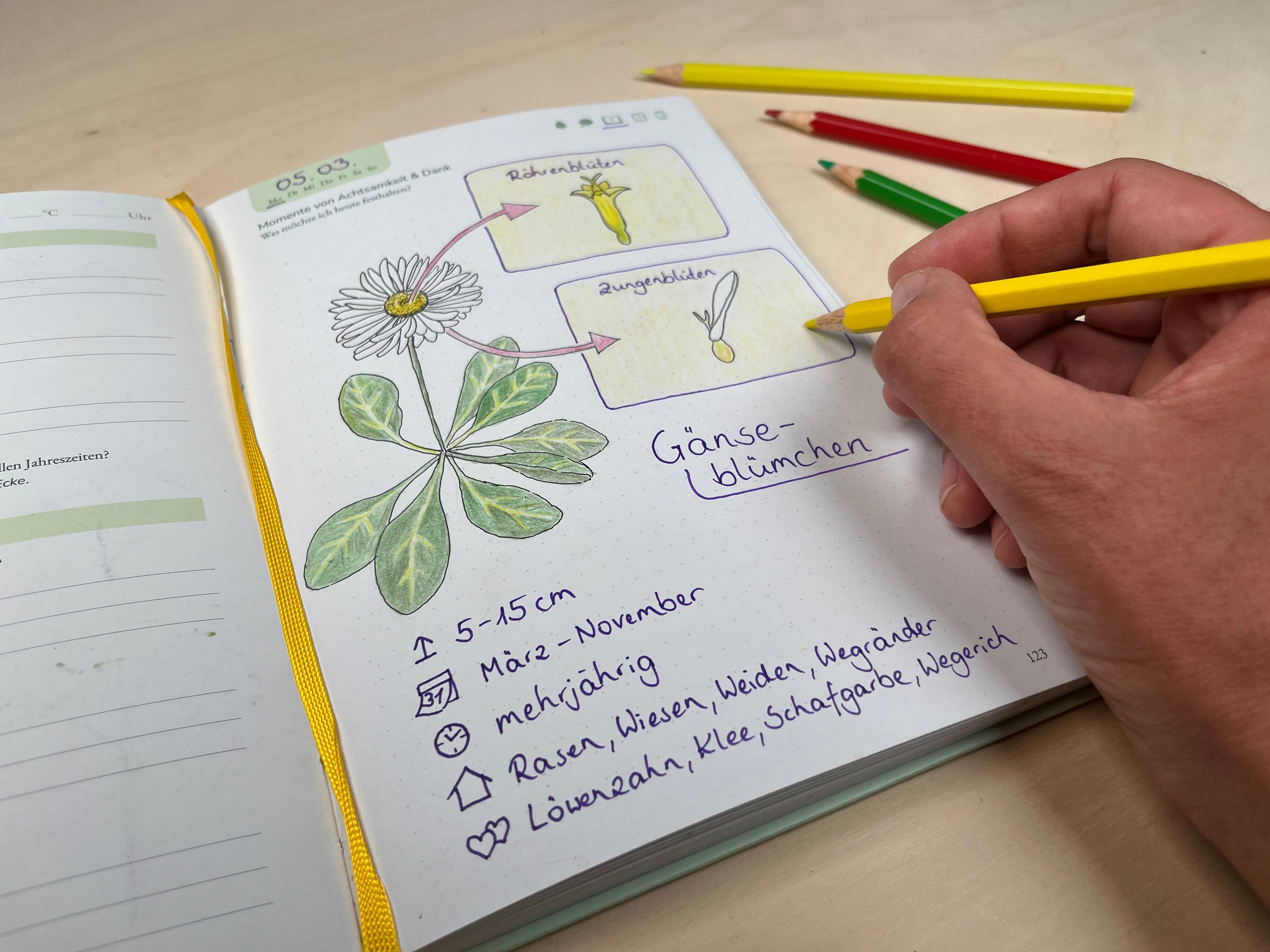 Natur-Routine-mit-dem-Naturfreude-Journal