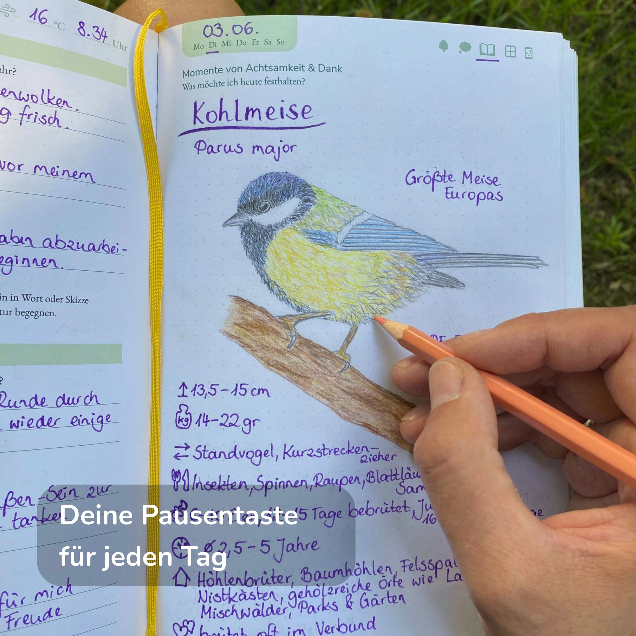 Das Naturfreude Journal