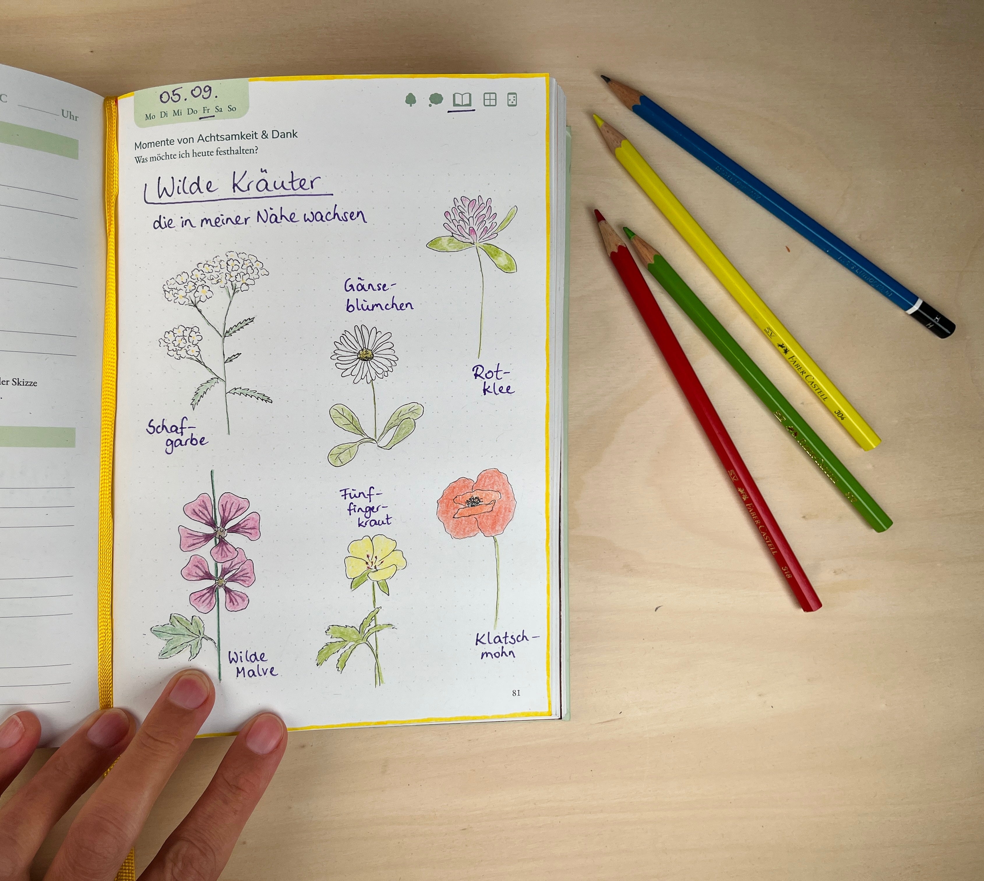 Wilde-Kraeuter-im-Naturfreude-Journal