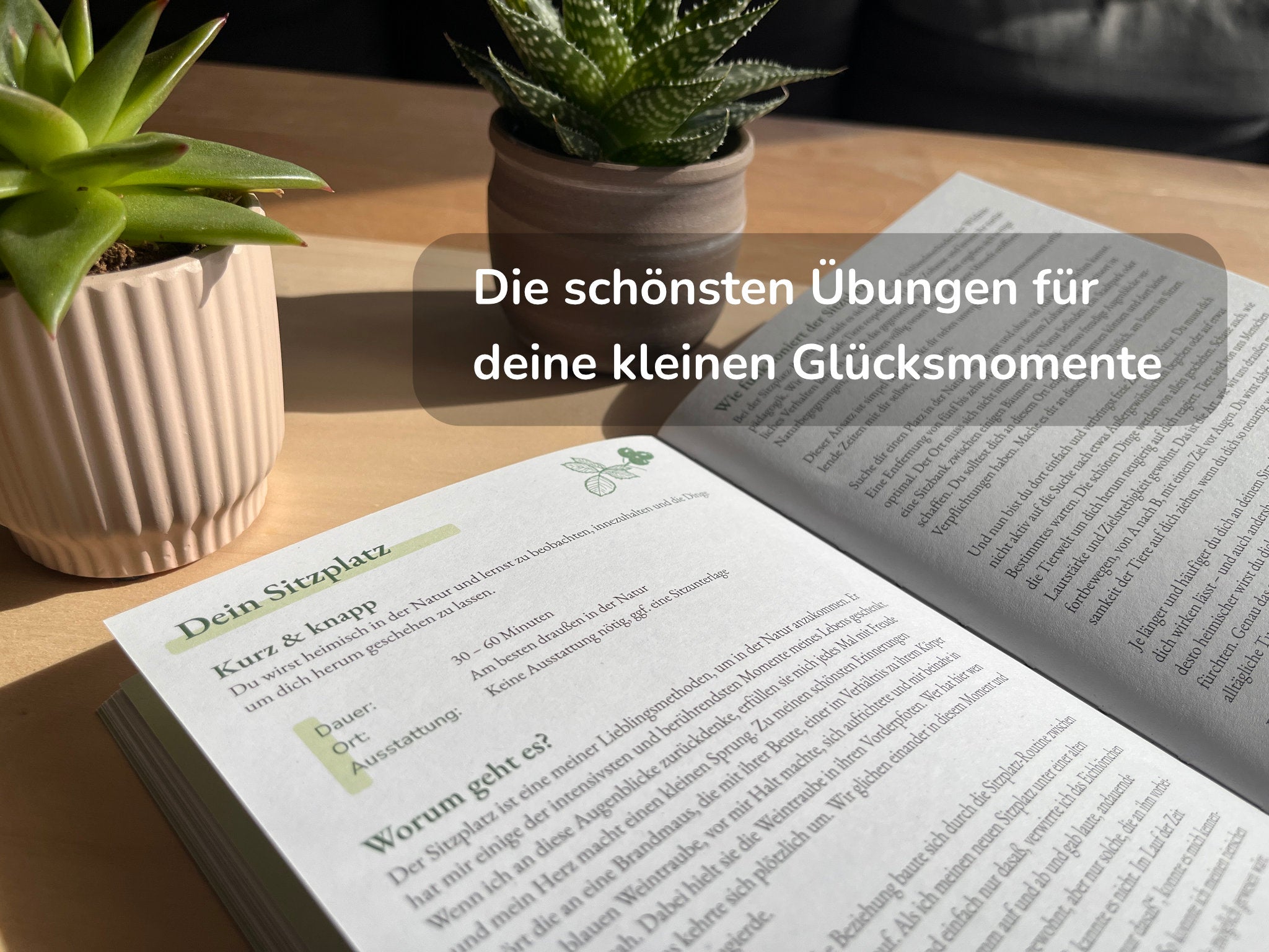 Naturuebungen-Gluecksmomente