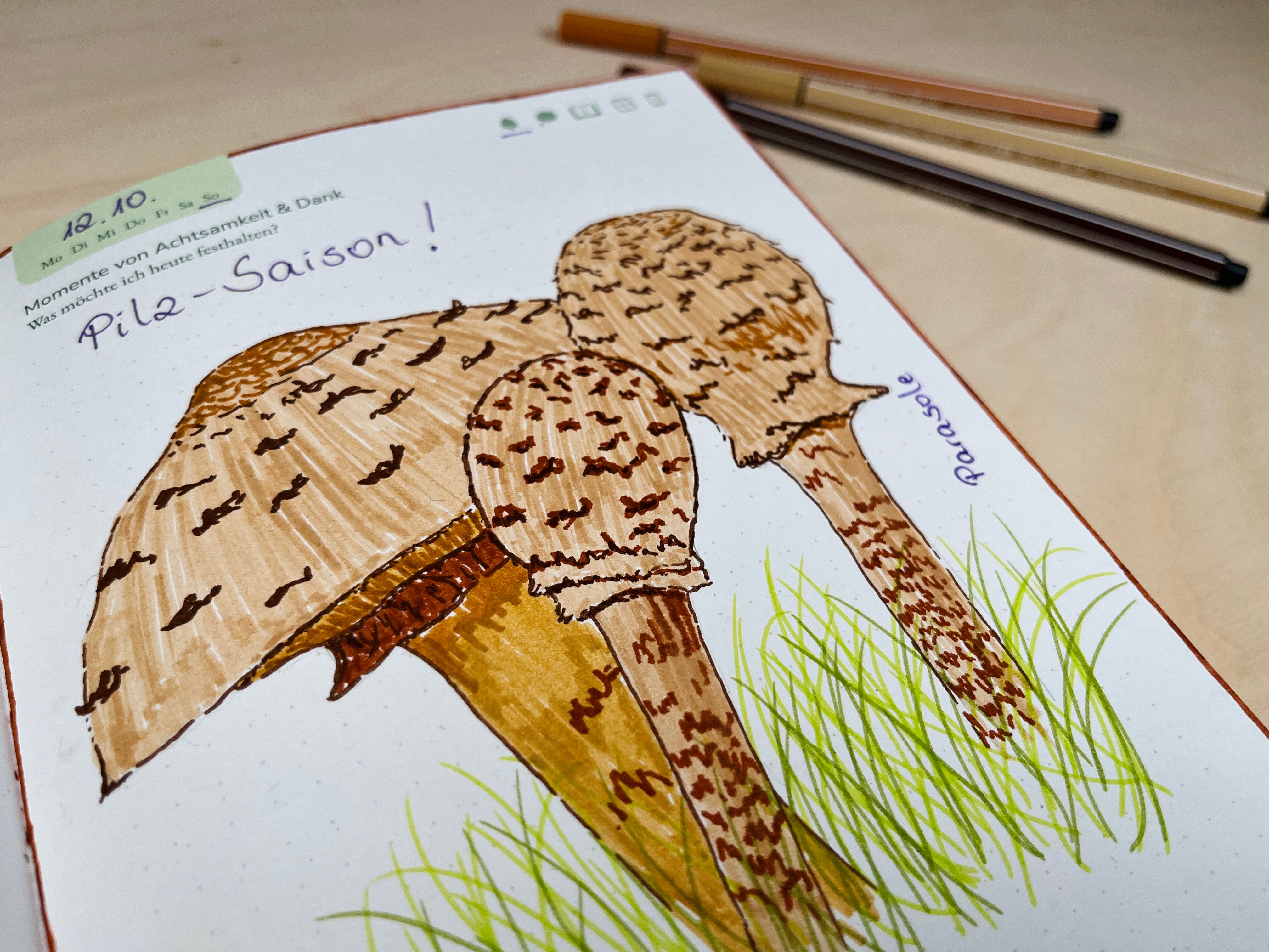 Parasol-Funde-im-Naturfreude-Journal