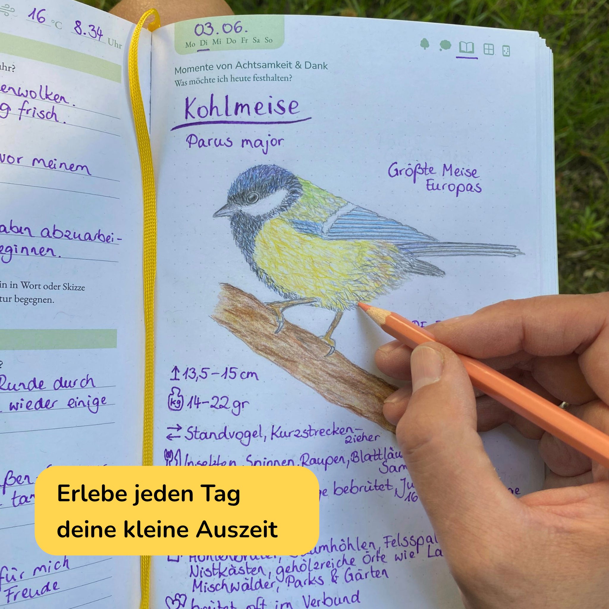 Das Naturfreude Journal