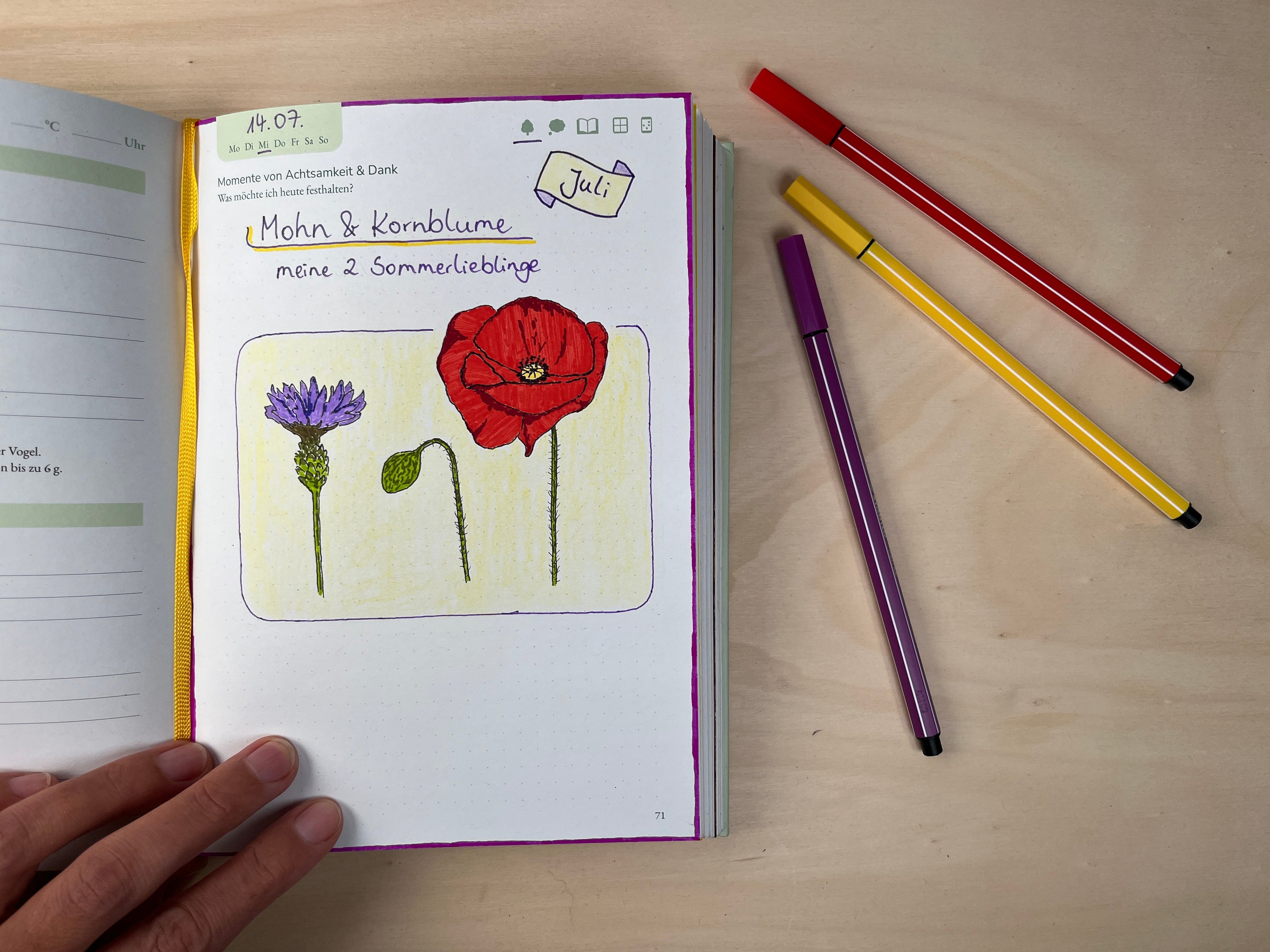 Meine-Sommerpfanzen-Lieblinge-im-Naturfreude-Journal