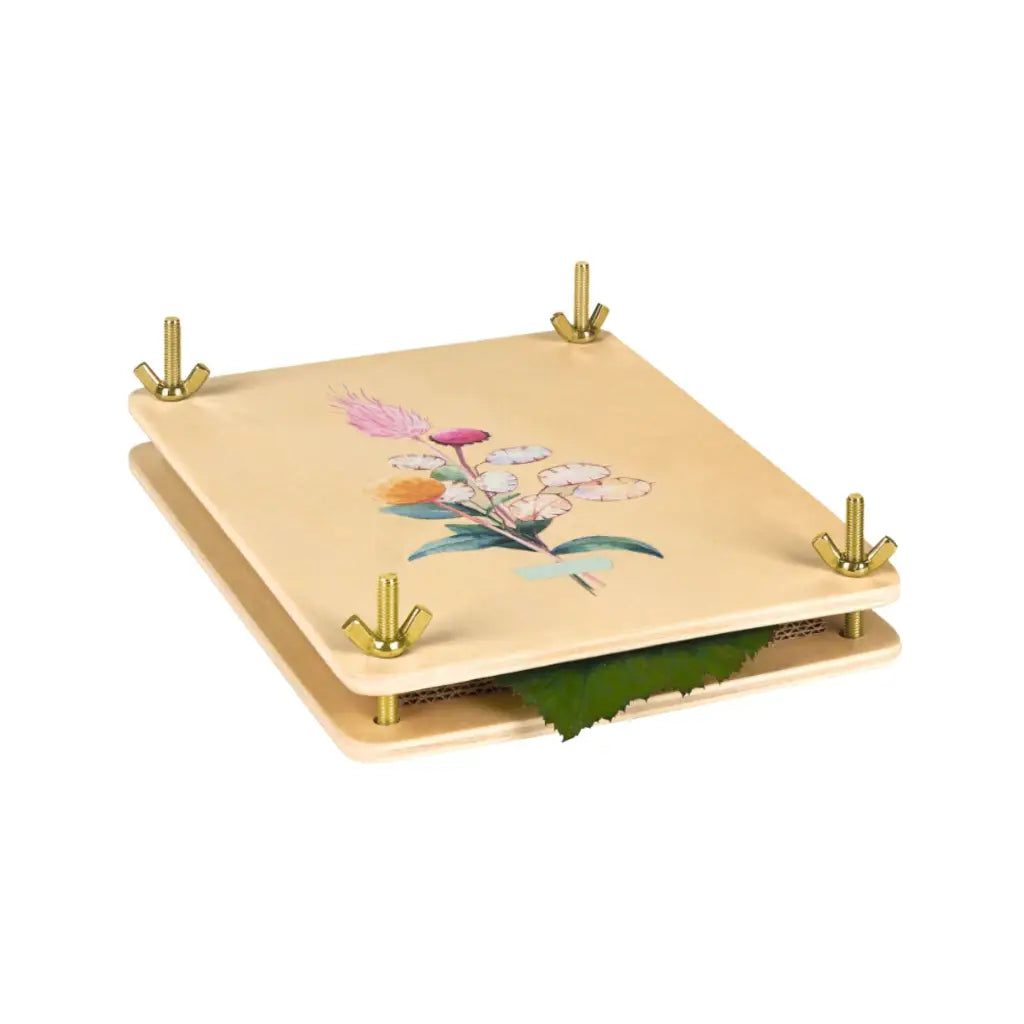 Blumenpresse | Pflanzen zeichnen & Herbarium anlegen