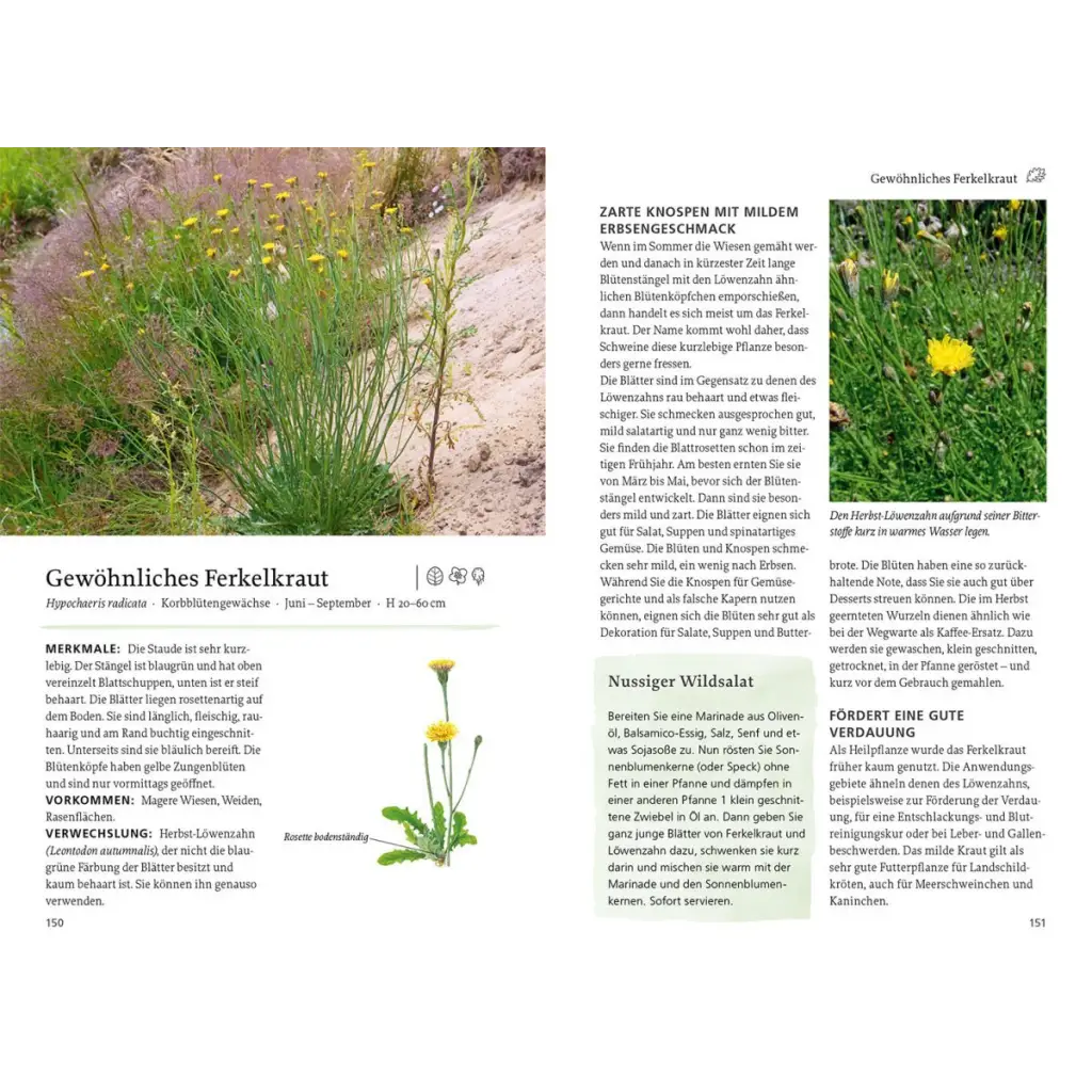 Kosmos ’Unsere essbaren Wildpflanzen’