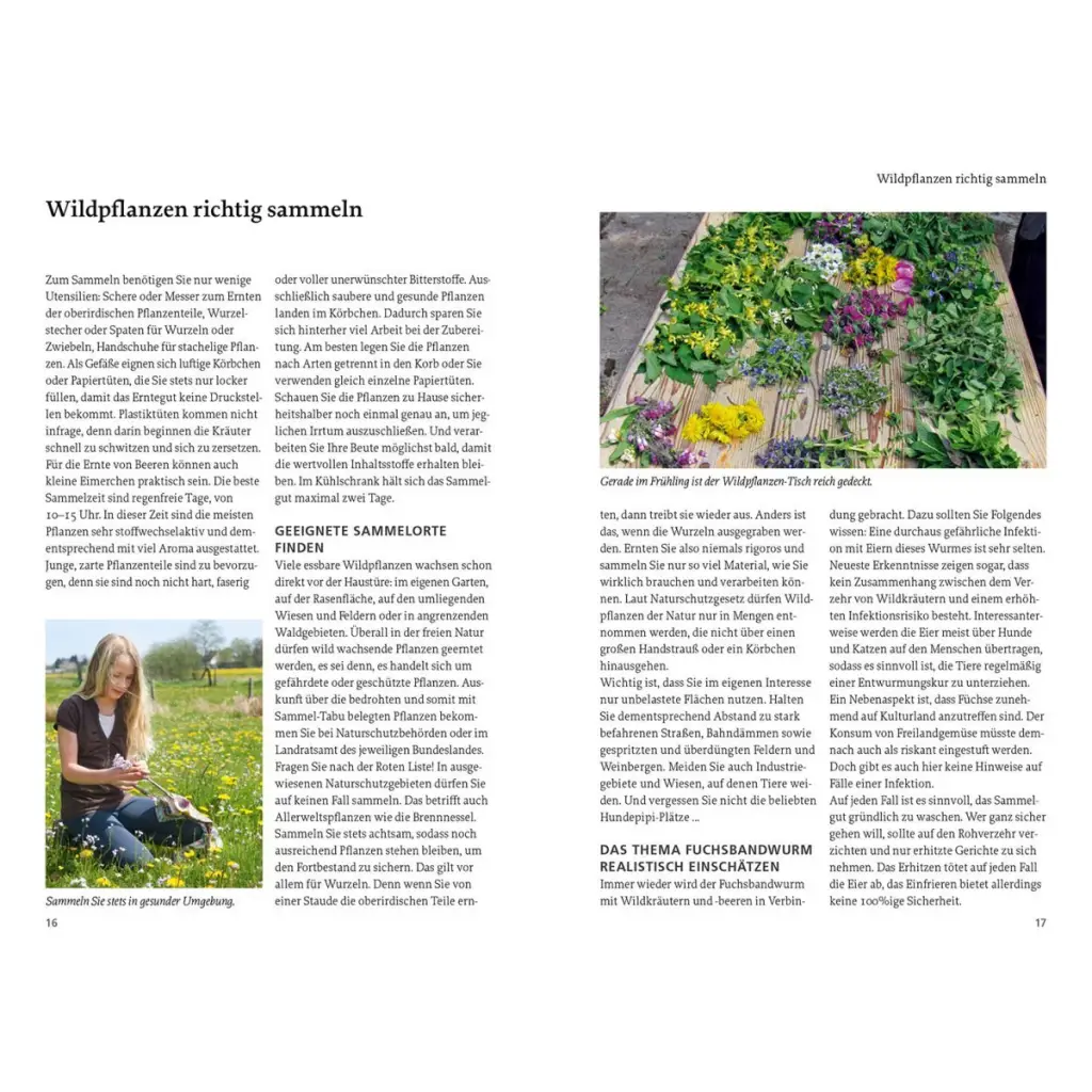 Kosmos ’Unsere essbaren Wildpflanzen’