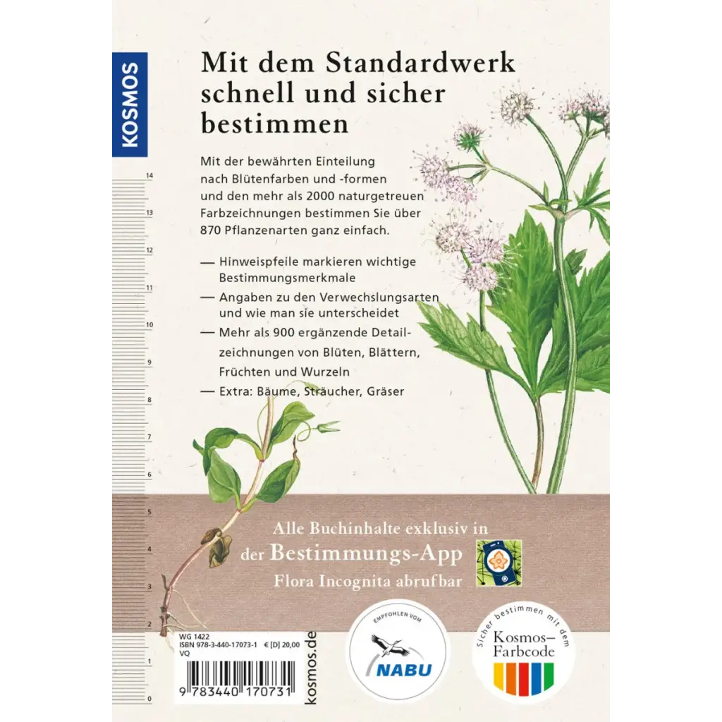 Kosmos ’Was blüht denn da?’