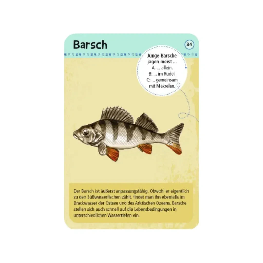 moses. Expedition Natur | 50 heimische Strandtiere &