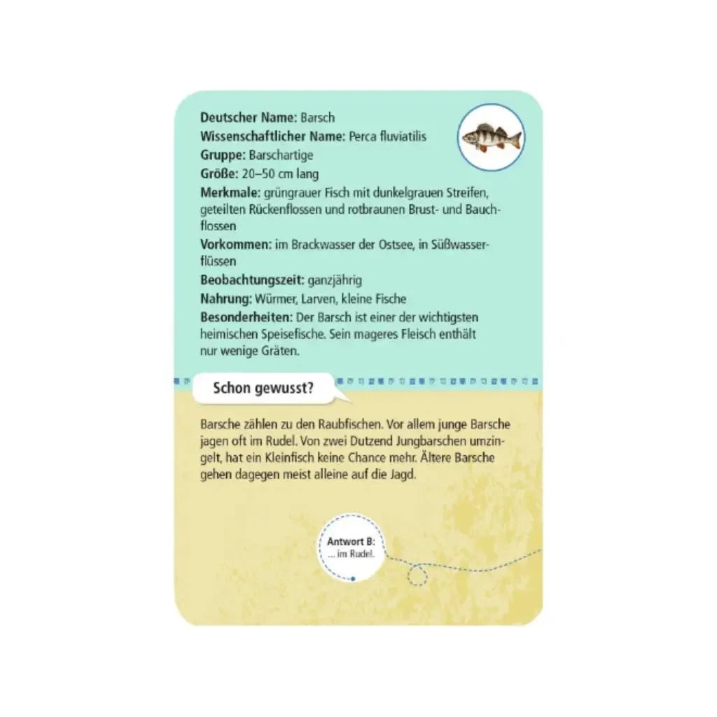 moses. Expedition Natur | 50 heimische Strandtiere &