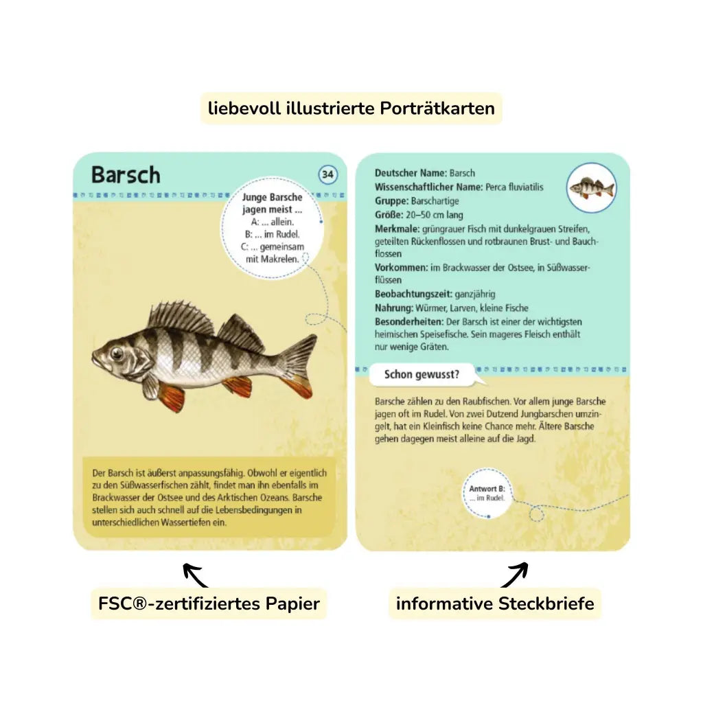 moses. Expedition Natur | 50 heimische Strandtiere &