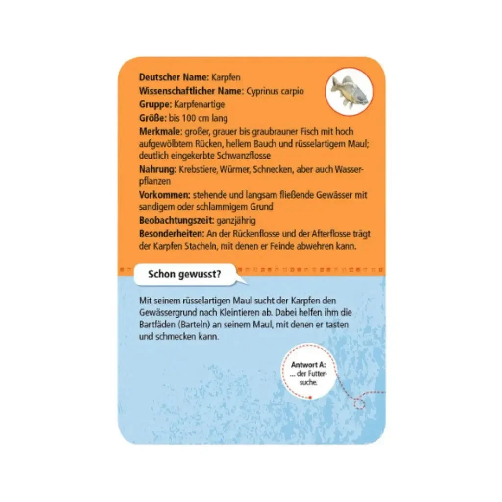 moses. Expedition Natur | 50 heimische Tiere & Pflanzen