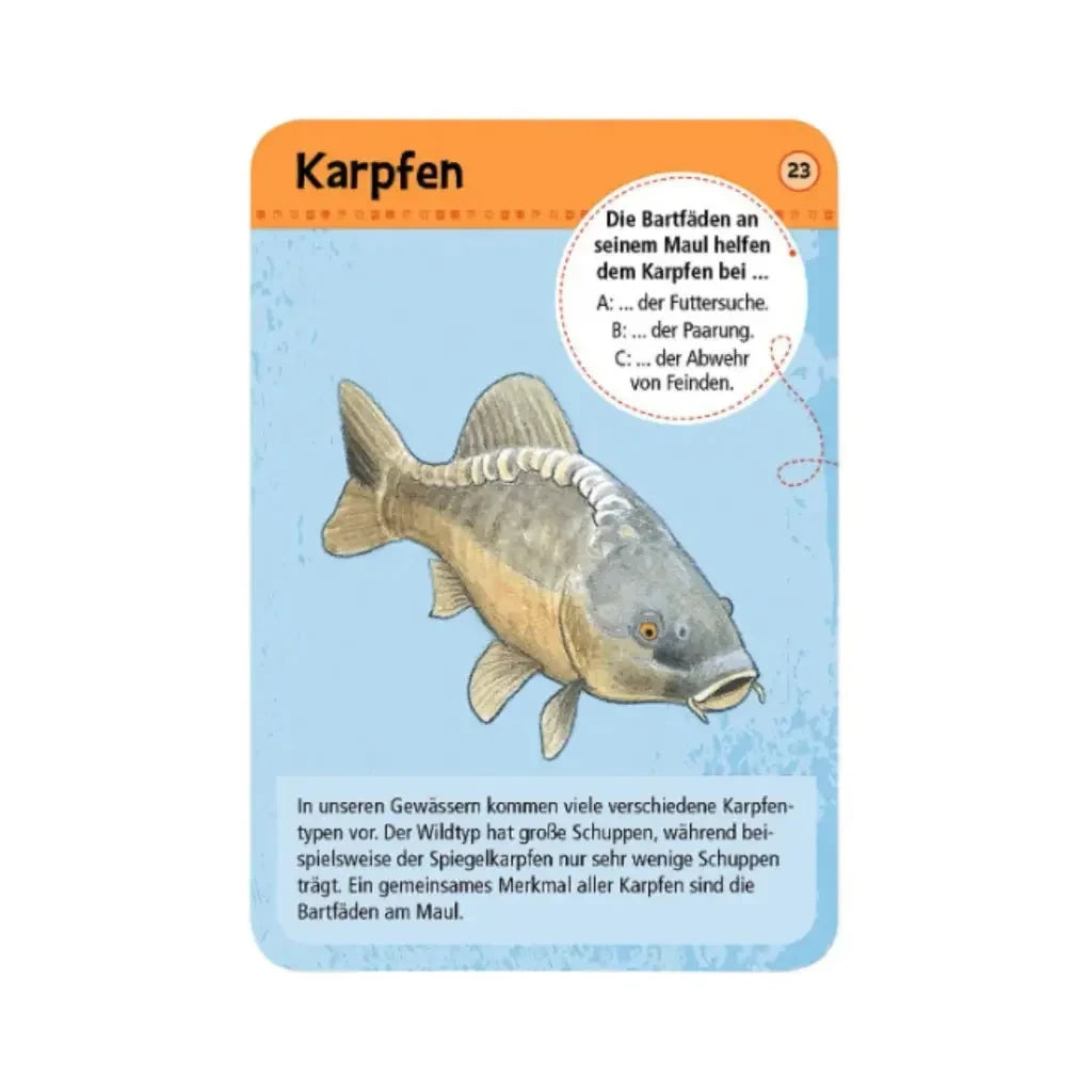 moses. Expedition Natur | 50 heimische Tiere & Pflanzen