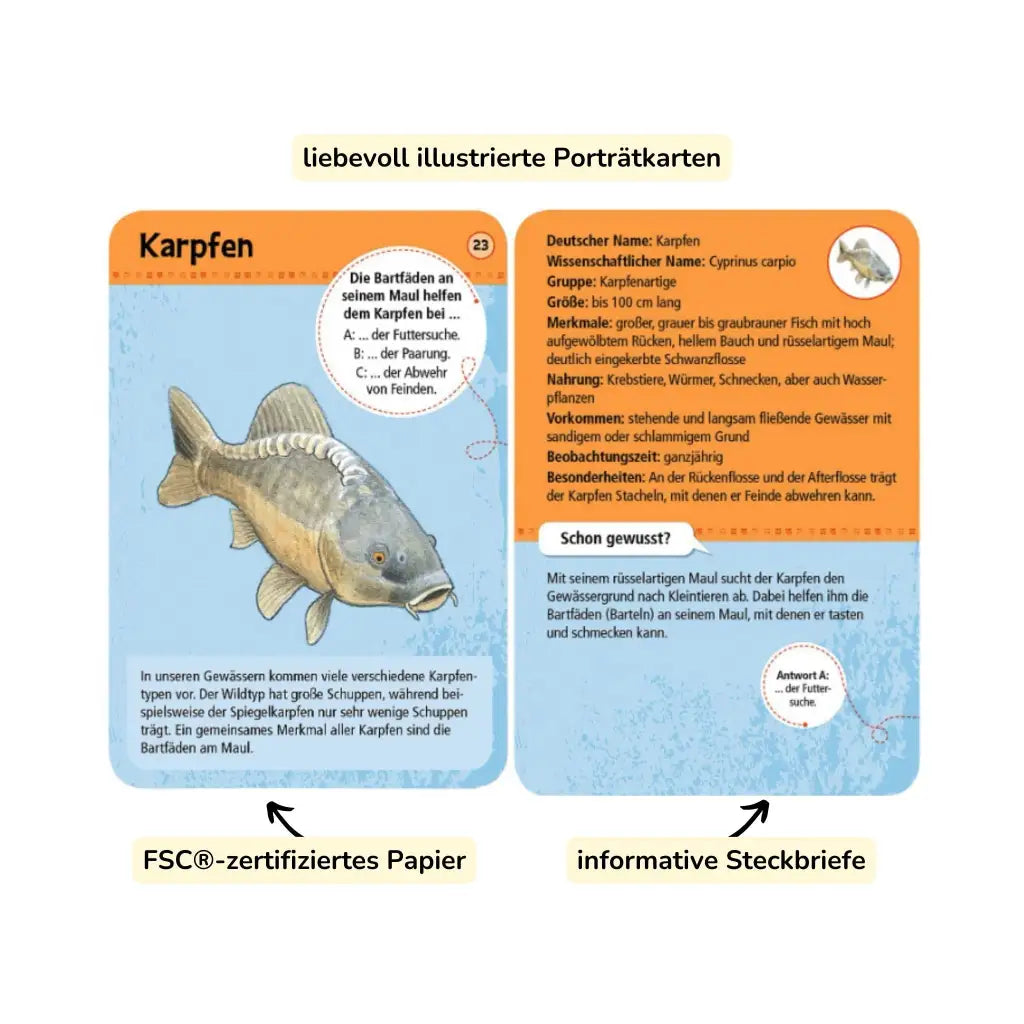 moses. Expedition Natur | 50 heimische Tiere & Pflanzen