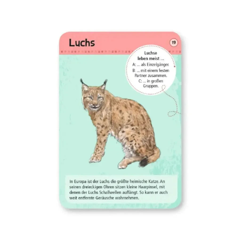 moses. Expedition Natur | 50 heimische Wald- und Wildtiere