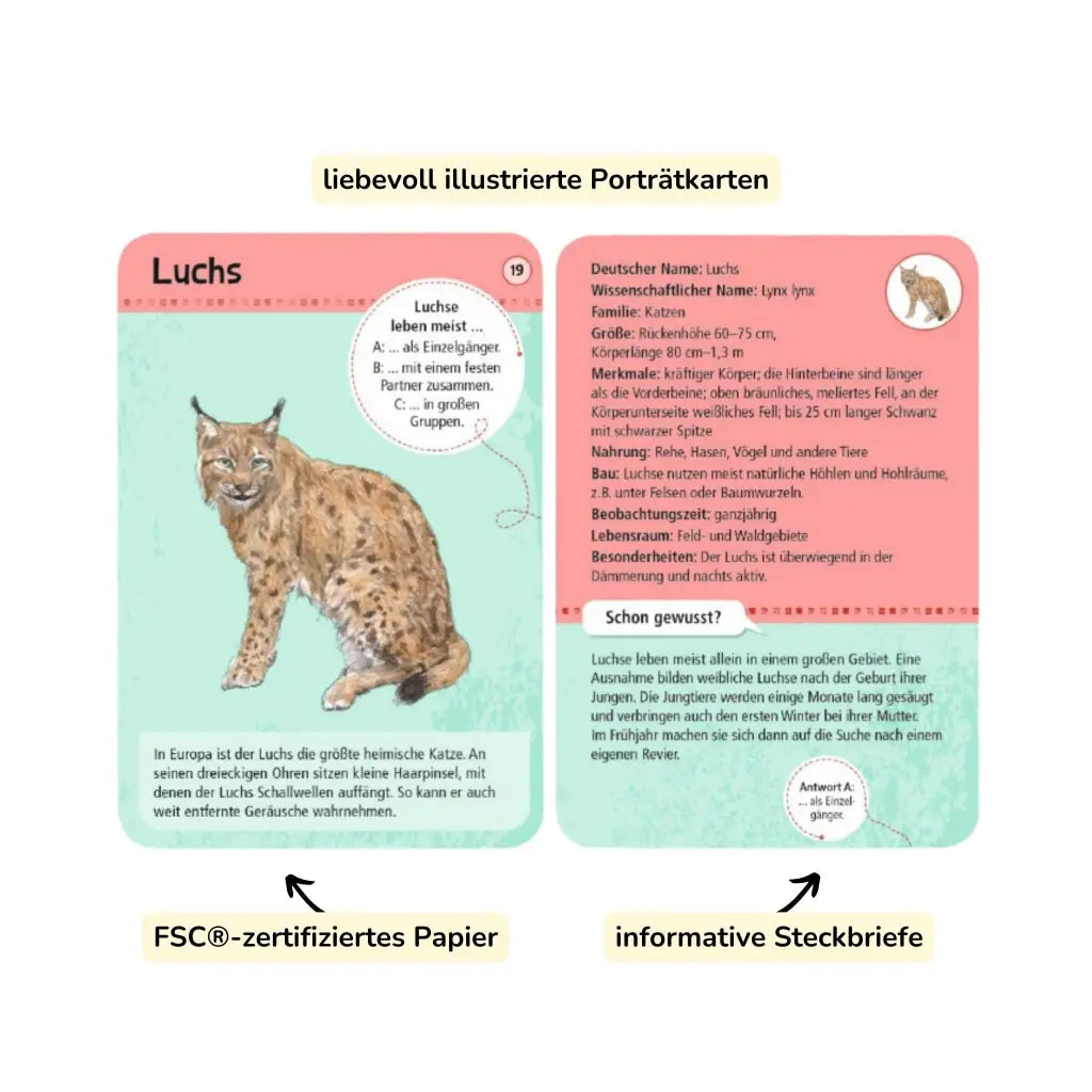 moses. Expedition Natur | 50 heimische Wald- und Wildtiere