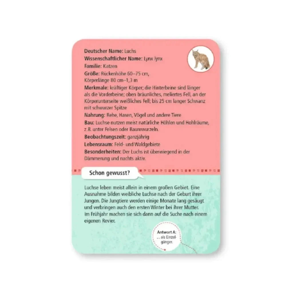 moses. Expedition Natur | 50 heimische Wald- und Wildtiere