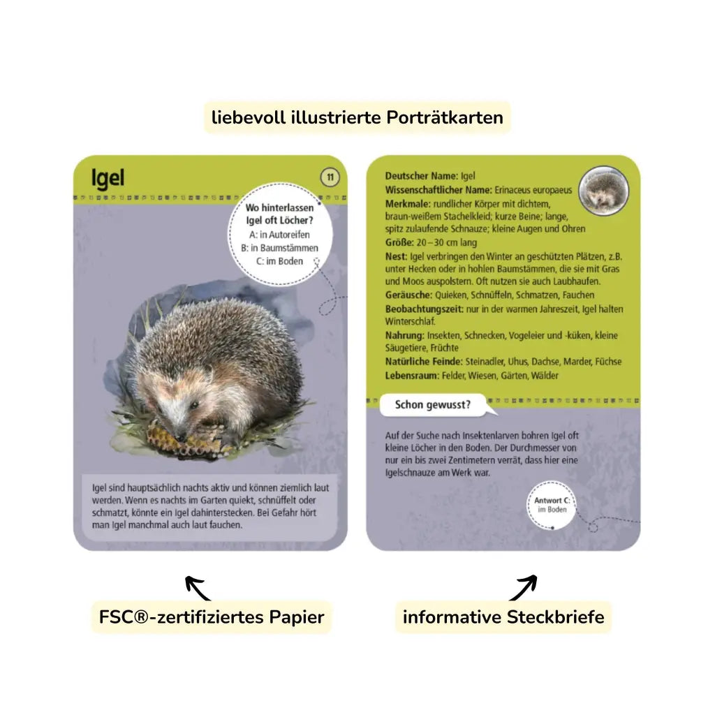 moses. Expedition Natur | 50 Tiere der Nacht