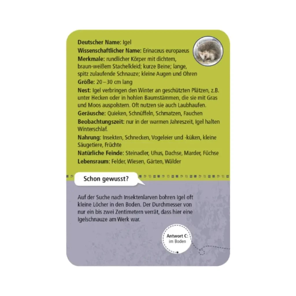 moses. Expedition Natur | 50 Tiere der Nacht