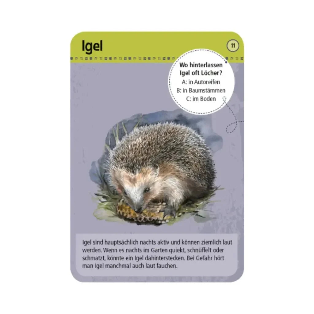 moses. Expedition Natur | 50 Tiere der Nacht