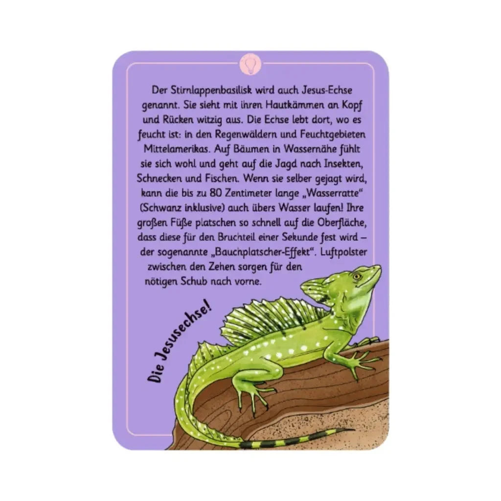 moses. Expedition Natur | 50 Tierrätsel ’Tricks und Tarnung’