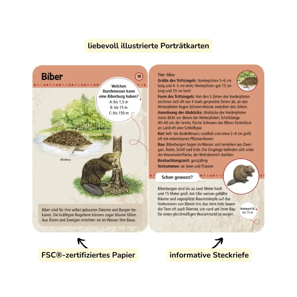 moses. Expedition Natur | 50 Tierspuren entdecken & zuordnen