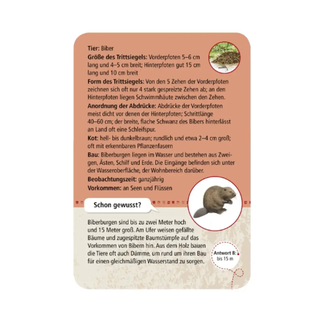 moses. Expedition Natur | 50 Tierspuren entdecken & zuordnen