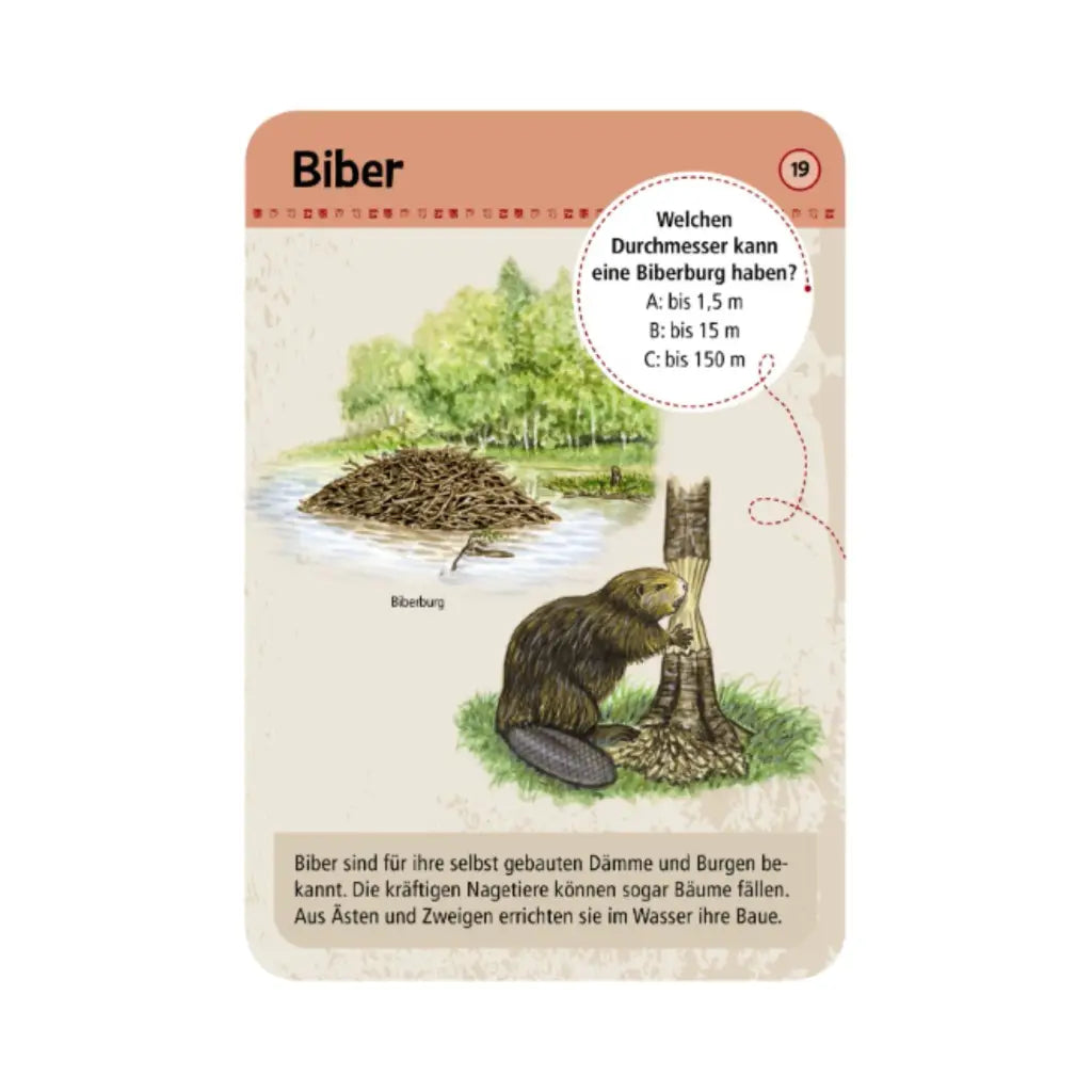 moses. Expedition Natur | 50 Tierspuren entdecken & zuordnen