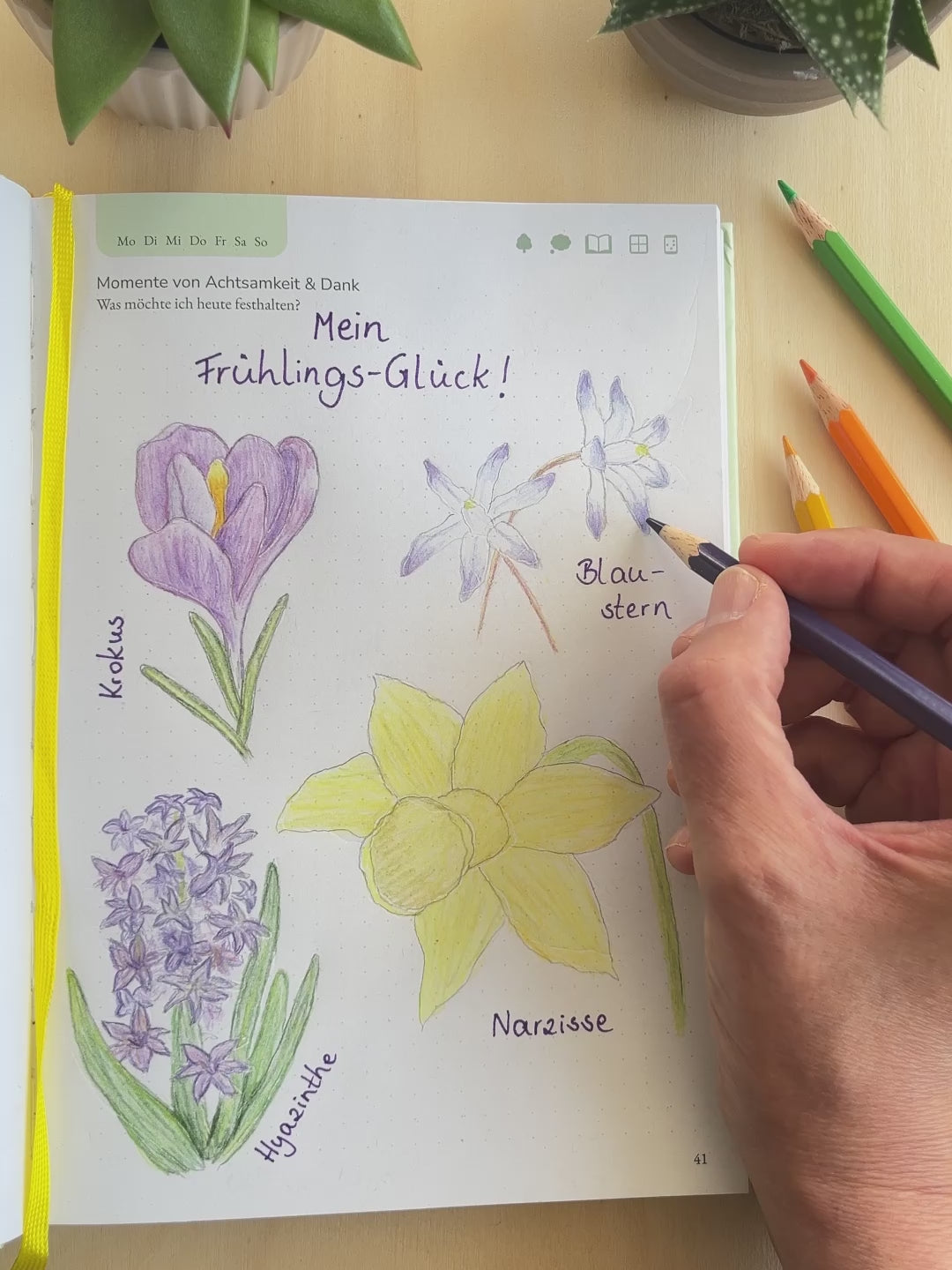 Das Naturfreude Journal